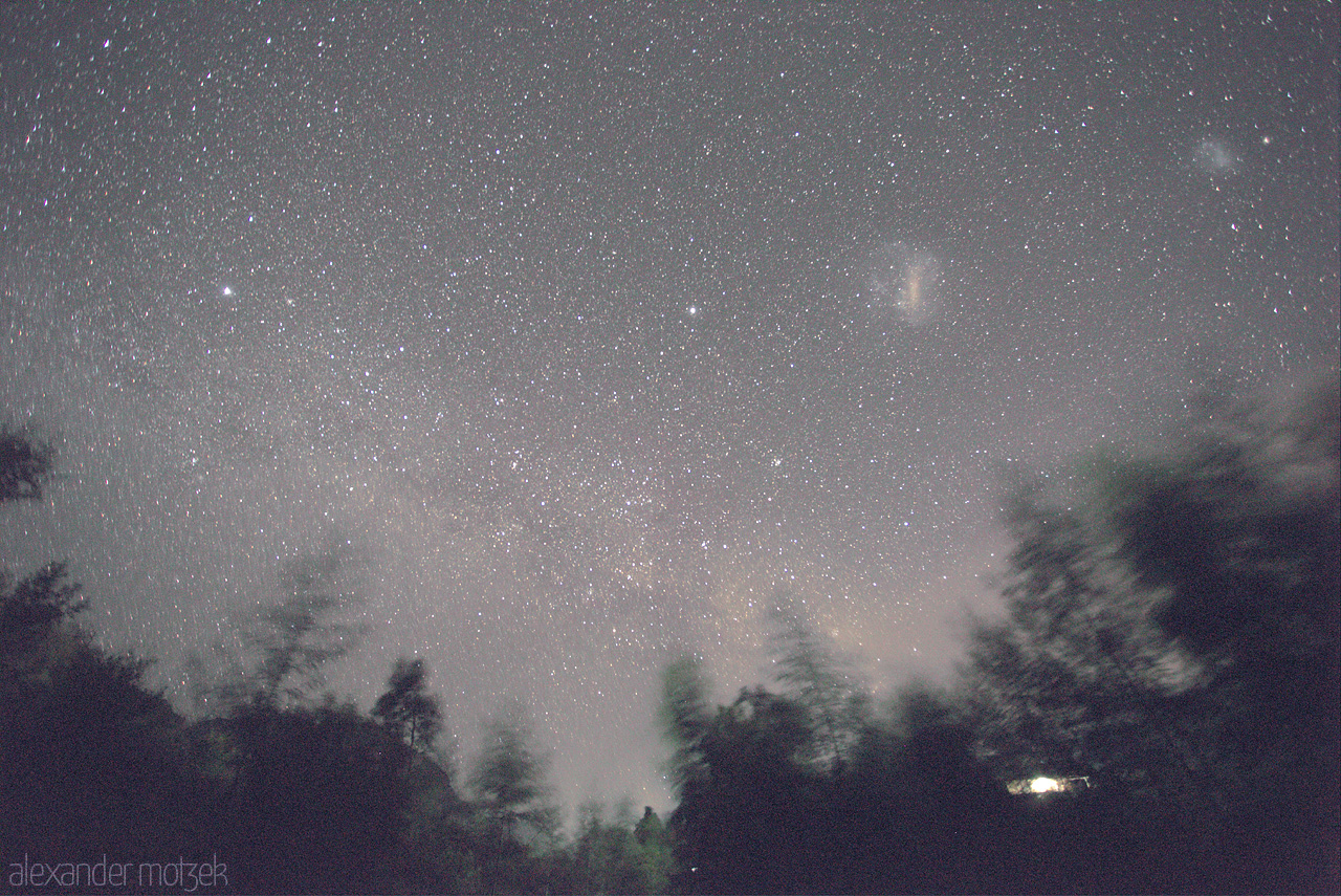 Cederberg Celestial Serenade Foto von A star-speckled sky over the lush silhouettes of Cederberg, South Africa, capturing the tranquil beauty of the night.
